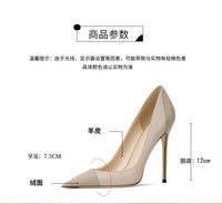 Nude High Heels Women's 2026 New Celebrity Niche Color Matching French Pointed Single Shoes Women's Stiletto