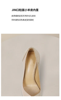 Nude High Heels Women's 2026 New Celebrity Niche Color Matching French Pointed Single Shoes Women's Stiletto