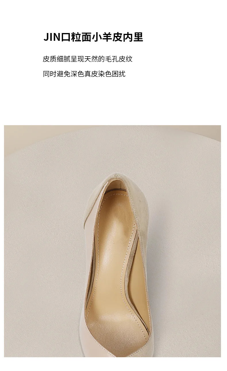 Nude High Heels Women's 2026 New Celebrity Niche Color Matching French Pointed Single Shoes Women's Stiletto