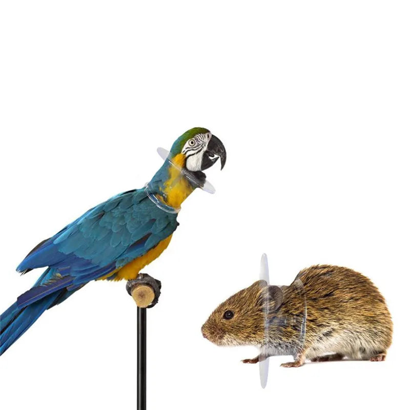 Bird Protective Bead Parrot Collar Anti Feather Picking Ring Anti-Plucking Anti-Grab Collars Pet Supplies for Rodents & Birds