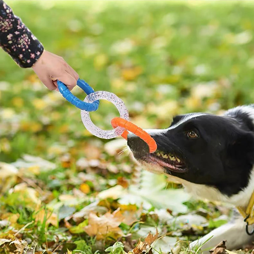Dog Chew Toy TPR Teeth Cleaning Pet Toys For Small Medium Large Dogs Interactive Bite Resistant 3 Ring Tug Dog Toy Pet Supplies