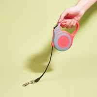 3m 5m Dog Leash For Small Medium Large Dogs Cats Automatic Retractable Strong Nylon Puppy Lead Schnauzer Pet Supplies