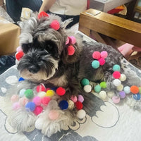 1 Set Cat Toy Interactive Pet Training Play Plush Toy  Funny Kitten Puppy Shooting Balls Games Pet Supplies Cat Accessories