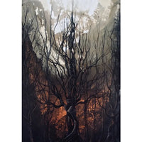 1pc frameless Surreal Colourful Landscape Poster Vintage Dark Forest Mountain Fall Scenery Canvas Painting Wall Art for Livin