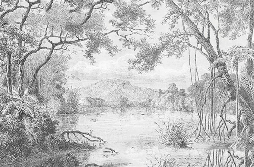 Custom Size wall papers 3D Nordic art black and white landscape waterfall porch mural Retro Hand Painted Forest Tree home decor