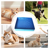 Dog Kiddie Pool PVC Folding Swimming Pool small pet bathtub noninflatable dog paddling pool Pet Supplies For Puppy Cats