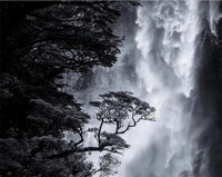 Custom Size wall papers 3D Nordic art black and white landscape waterfall porch mural Retro Hand Painted Forest Tree home decor
