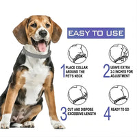 Adjustable Plastic Dog Collar Waterproof Pet Cat Puppy Collar Kitten Collars 70cm 38cm for Small Medium Large Dogs Pet Supplies