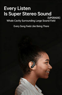 DACOM L19 Wireless Headphones Bluetooth 5.3 Earphones True with Mic Button Control Noise Reduction Earhooks Waterproof Headset